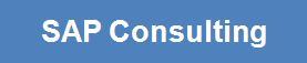 SAP Consulting